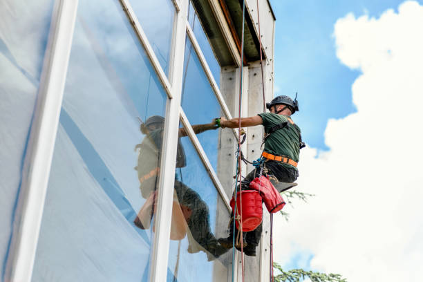 Best High-Rise Window Cleaning  in Paoli, IN